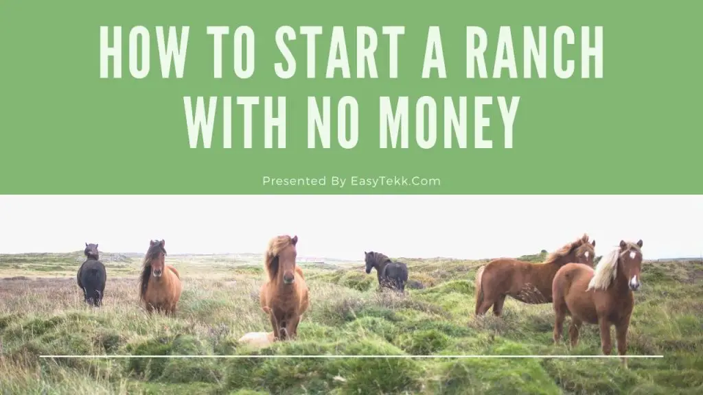 How to Start a Ranch With No Money: The Complete Guide